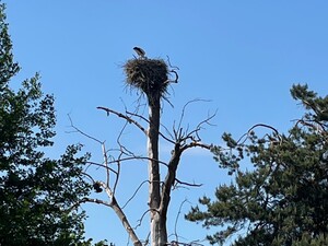 Bild 10_14pek3rkeehh6.jpg